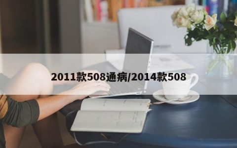 2011款508通病/2014款508